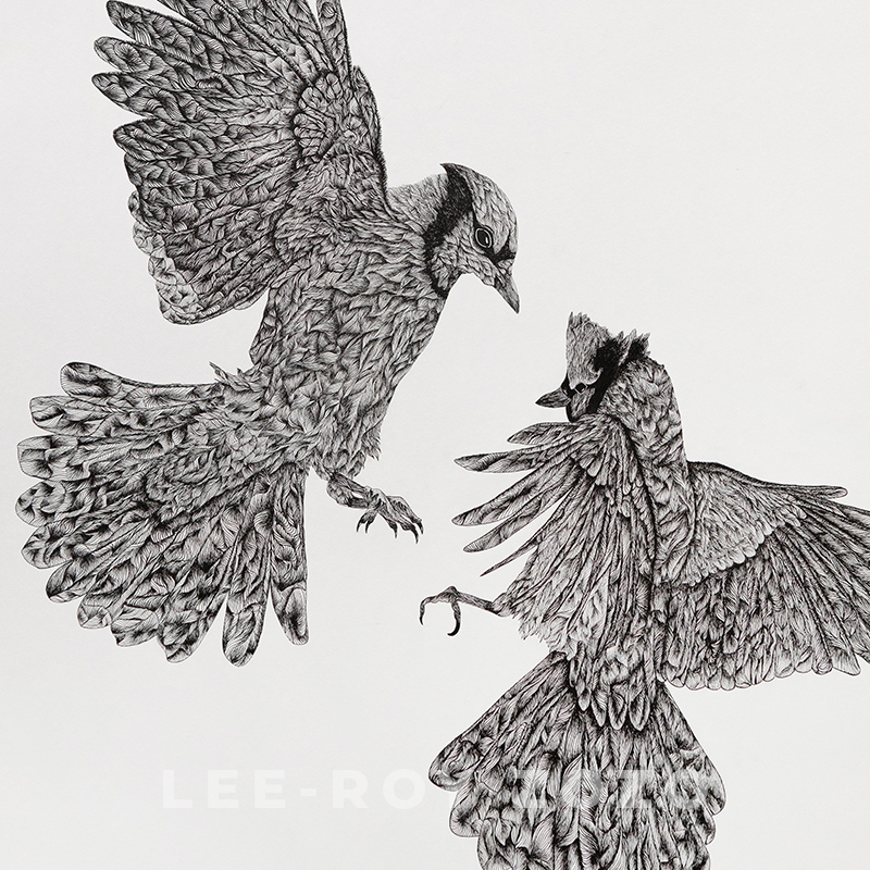 A LOOK INSIDE: “Wings of affection, talons of fury “